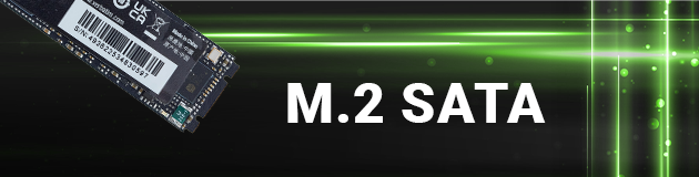M.2 SATA SSD
